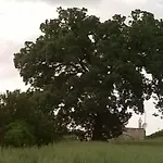 Dimora Del Sole Putignano