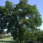 Dimora Del Sole Putignano