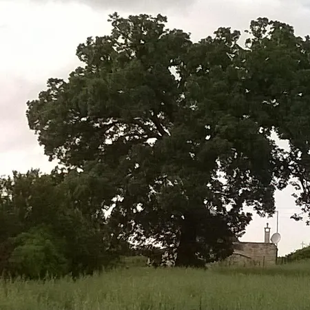 Dimora Del Sole 普蒂尼亚诺